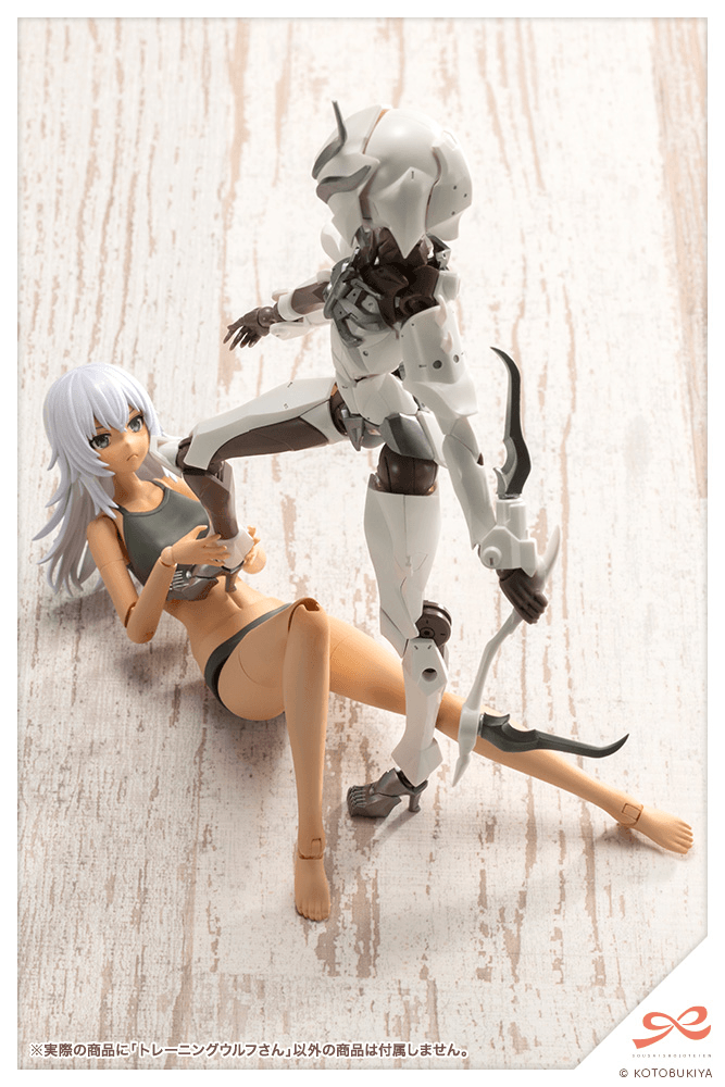 KOTOBUKIYA Training WOLF