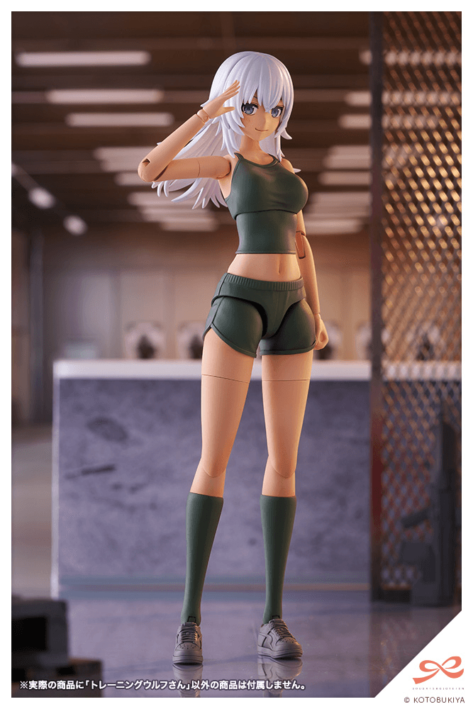 KOTOBUKIYA Training WOLF