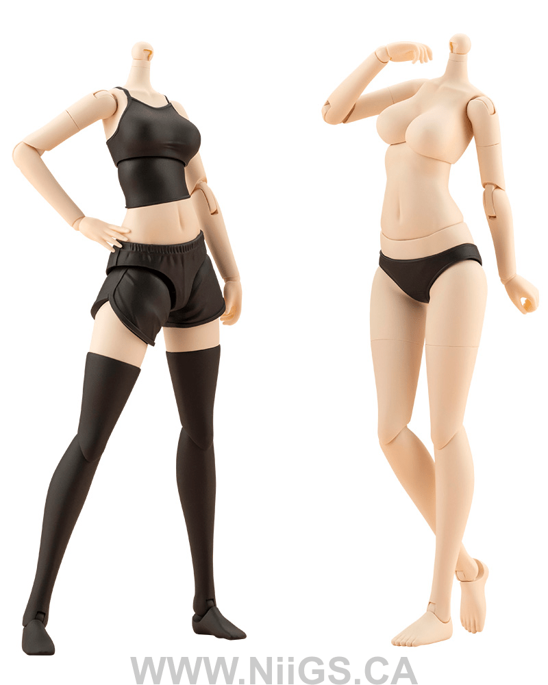 KOTOBUKIYA DRESS UP BODY[M] COLOR C Ver.