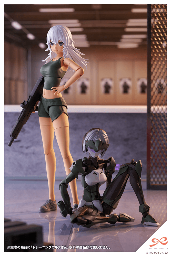 KOTOBUKIYA Training WOLF