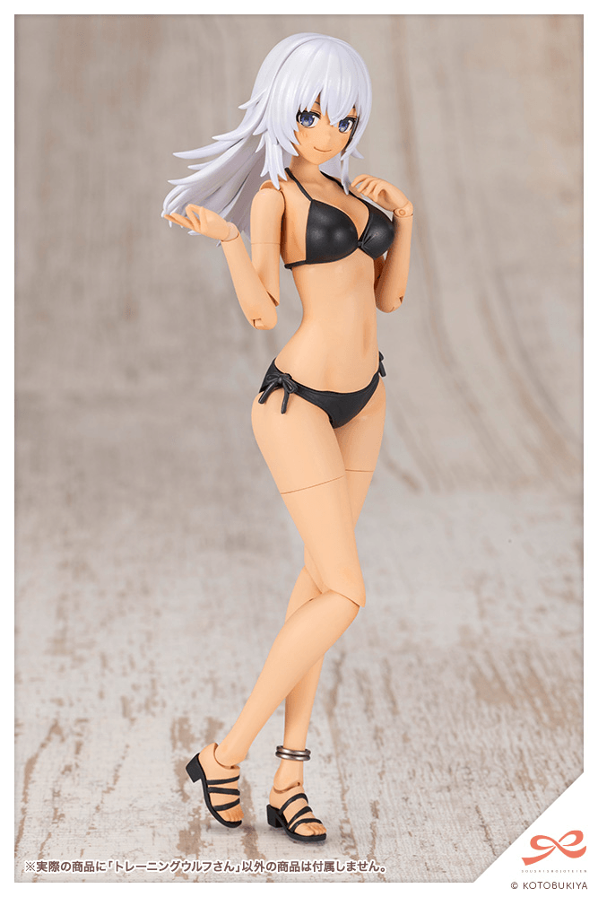KOTOBUKIYA Training WOLF