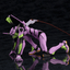 Kotobukiya Evangelion Test Type-01 TV Ver.