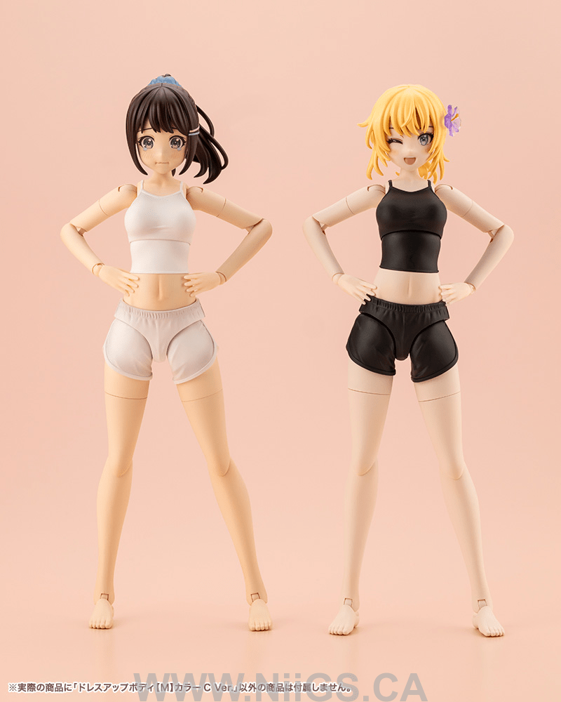 KOTOBUKIYA DRESS UP BODY[M] COLOR C Ver.