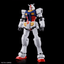 LIMITED ENTRY GRADE 1/144 RX-78F00/E GUNDAM