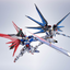 Limited TAMASHII NATIONS METAL ROBOT SPIRITS STRIKE FREEDOM GUNDAM [Re:Coordinate]