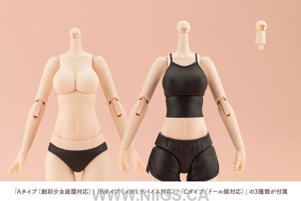 KOTOBUKIYA DRESS UP BODY[M] COLOR C Ver.