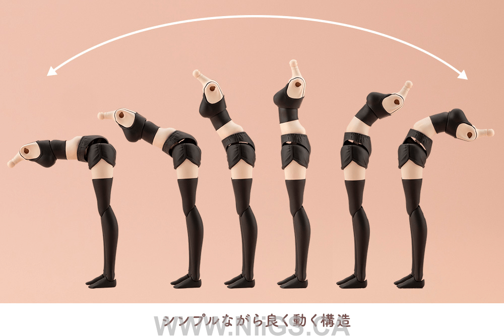 KOTOBUKIYA DRESS UP BODY[M] COLOR C Ver.