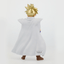 Banpresto DRAGON BALL Z BLOOD OF SAIYANS-SUPER SAIYAN SON GOHAN-Ⅱ