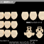 KOTOBUKIYA MEGAMI DEVICE M.S.G 06 FACE SET AUV SKIN