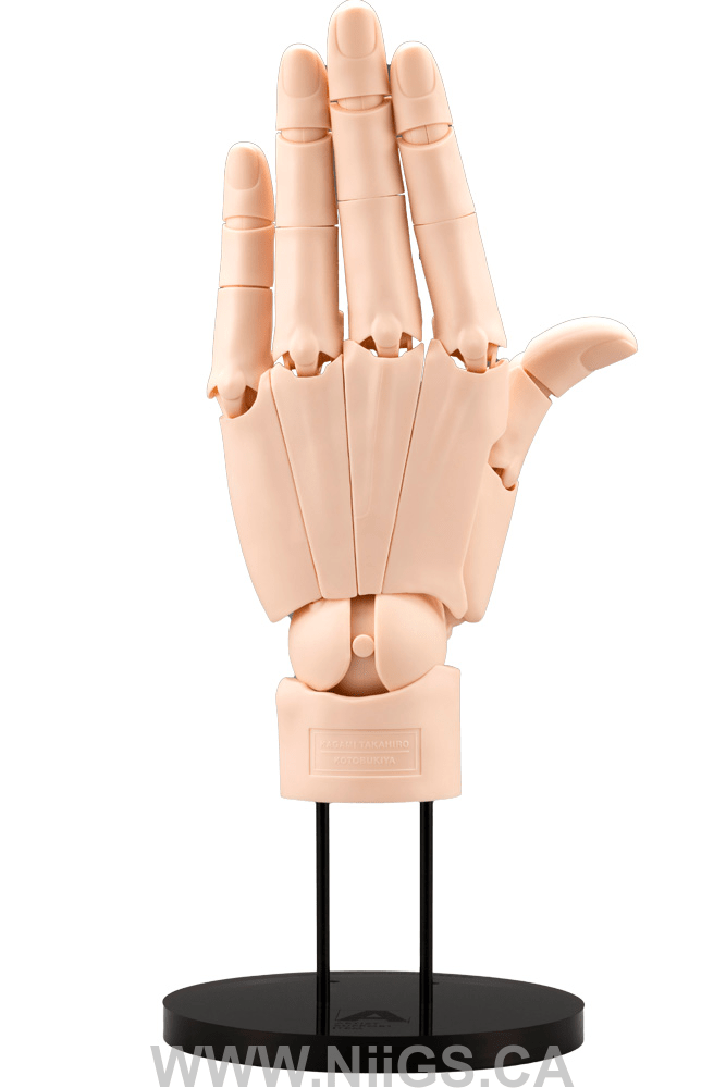 KOTOBUKIYA ARTIST SUPPORT ITEM HAND MODEL