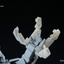 BANDAI HOBBY HGUC 1/144 #153 Unicorn Gundam 2 Banshee Norn (Unicorn Mode)