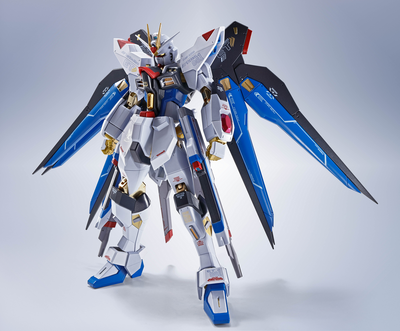 Limited TAMASHII NATIONS METAL ROBOT SPIRITS STRIKE FREEDOM GUNDAM [Re:Coordinate]