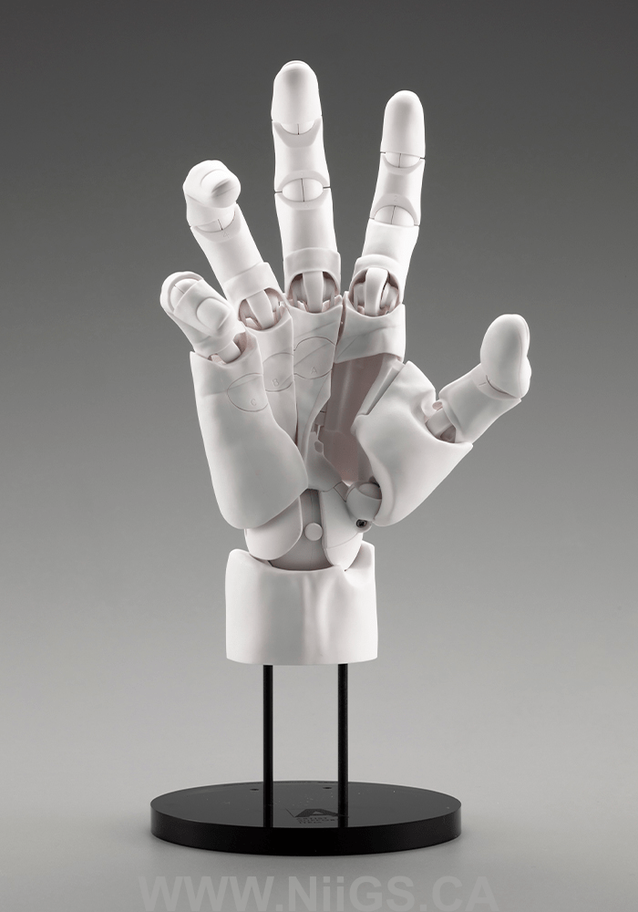 KOTOBUKIYA ARTIST SUPPORT ITEM HAND MODEL