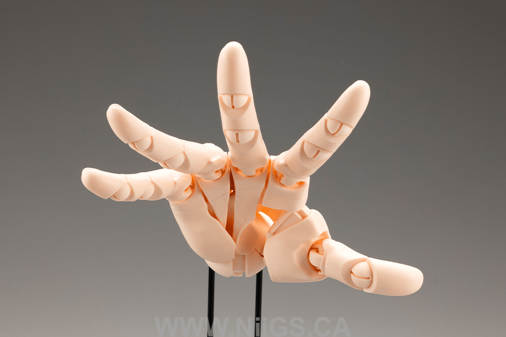 KOTOBUKIYA ARTIST SUPPORT ITEM HAND MODEL