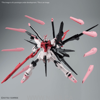 BANDAI HG 1/144 GUNDAM PERFECT STRIKE FREEDOM ROUGE