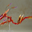 KOTOBUKIYA HRESVELGR=RUFUS 〈AGITO〉