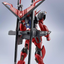 TAMASHII NATIONS SWORD IMPULSE GUNDAM SPECⅡ "GUNDAM", TAMASHII NATIONS METAL ROBOT SPIRITS