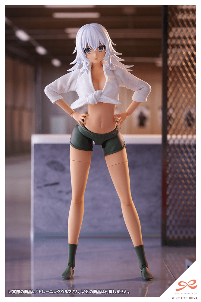 KOTOBUKIYA Training WOLF