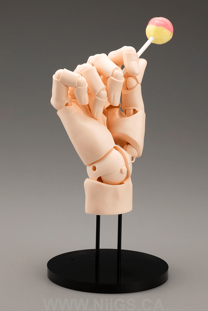 KOTOBUKIYA ARTIST SUPPORT ITEM HAND MODEL