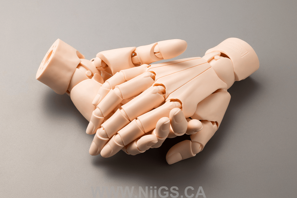 KOTOBUKIYA ARTIST SUPPORT ITEM HAND MODEL