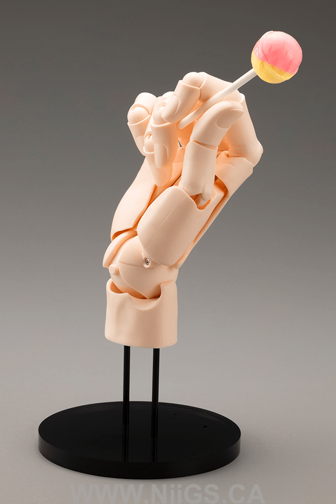 KOTOBUKIYA ARTIST SUPPORT ITEM HAND MODEL