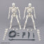 BANDAI HOBBY 30MF DLROSKELETON