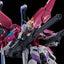 LIMITED Premium Bandai RG 1/144 DESTINY IMPULSE GUNDAM