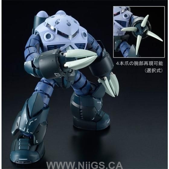 LIMITED Premium Bandai  RG 1/144 MSM-07 Mass production type Z'GOK