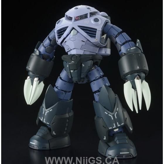 LIMITED Premium Bandai  RG 1/144 MSM-07 Mass production type Z'GOK