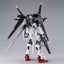 LIMITED Premium Bandai  MG 1/100 Gundam EX IMPULSE