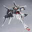 LIMITED Premium Bandai  MG 1/100 Gundam EX IMPULSE