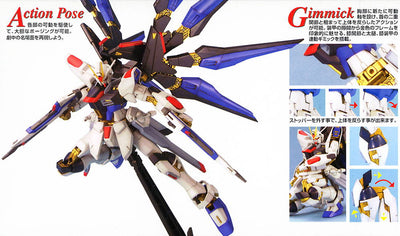 MG 1/100 Strike Freedom Gundam