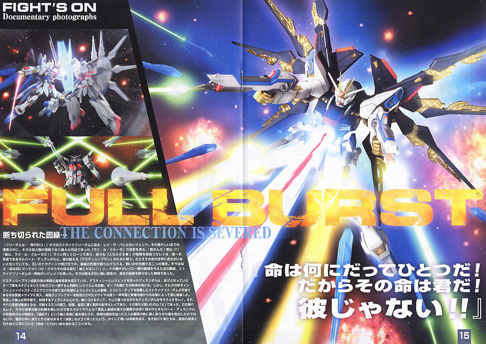 MG 1/100 Strike Freedom Gundam Special Version