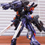 Infinite Dimension x SNAA MG 1/100 Ruling
