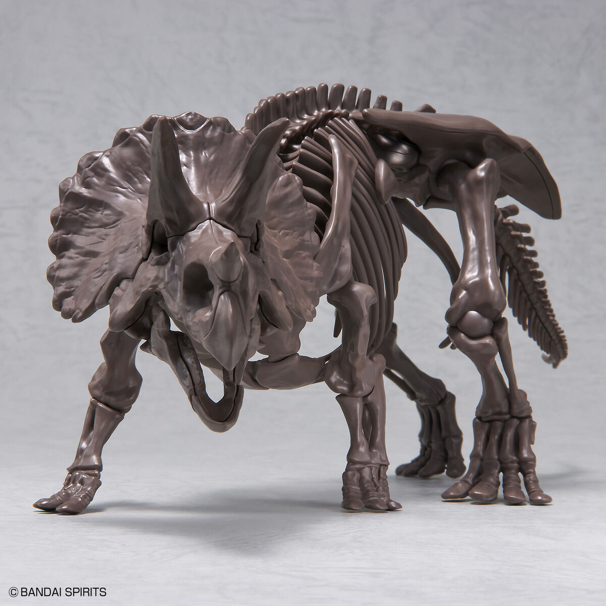 Exploring Lab Nature 1/32 Imaginary Skeleton Triceratops