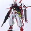 Nilson Works 尼爾森工坊 PG 1/60 Gundam Astray RED FRAME