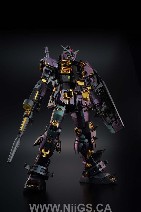 Pg Rx 78 Beam Riffle LIMITED Premium Bandai PG 1/60 RX-78-2 Gundam Unleashed China Special ...