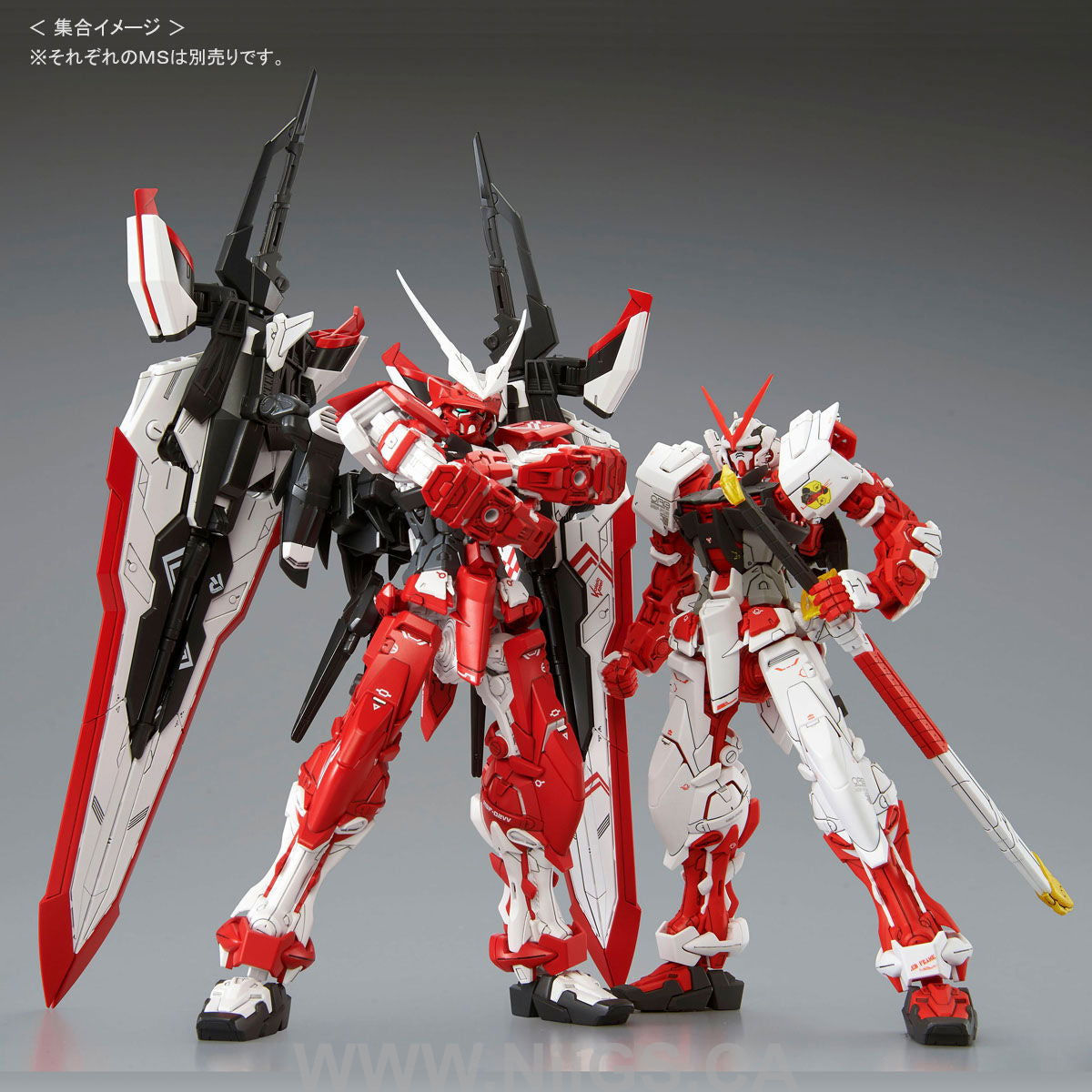 BANDAI HOBBY MG 1/100 MBF-02VV GUNDAM ASTRAY TURN RED - Nii G Shop