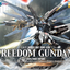 BANDAI Hobby MG ZGMF-X10A Freedom Gundam Extra Finish - Nii G Shop